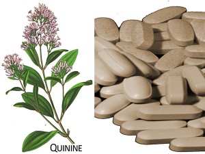Pills and Quinenine Plant 450 r5