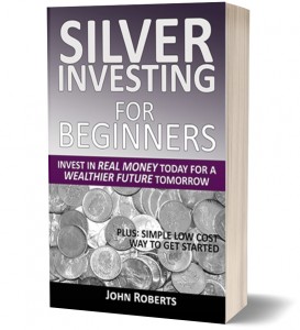 Cover 3D Cropped Silver Investing For Beginners 300 - 1649955396